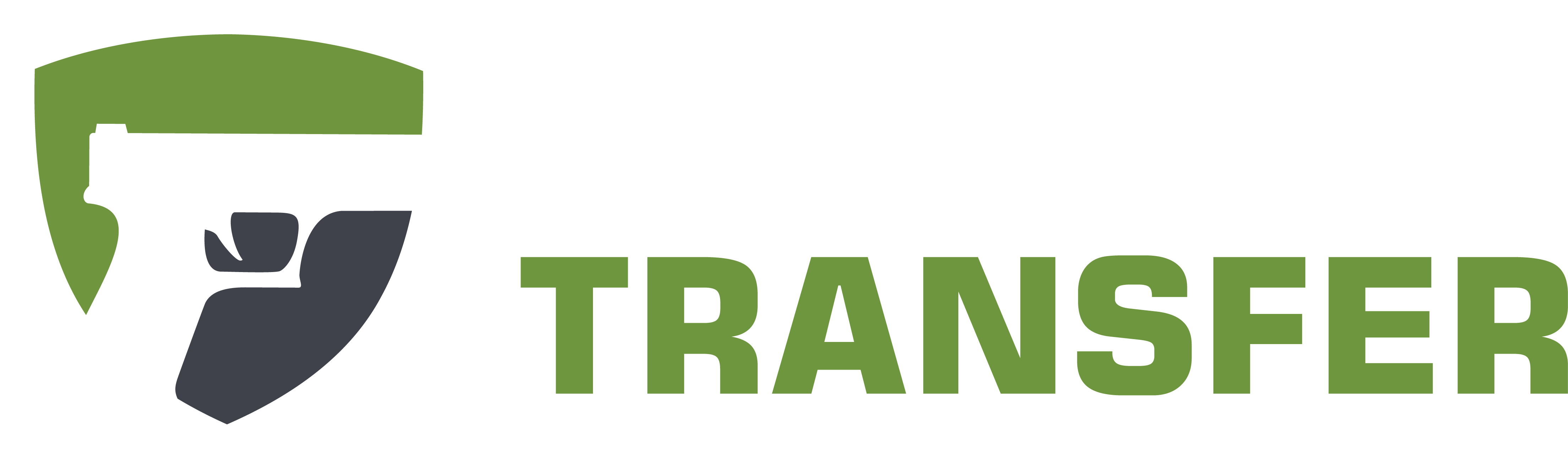 Guntransfer
